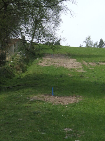SHG25038_12.jpg