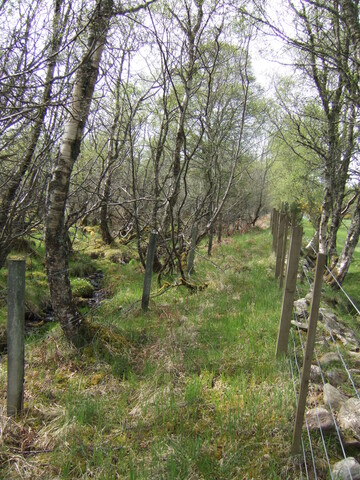 SHG25038_15.jpg