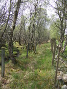 SHG25038_15.jpg