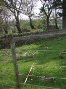 SHG25038_20.jpg