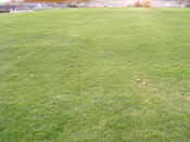 SHG25039_7.jpg