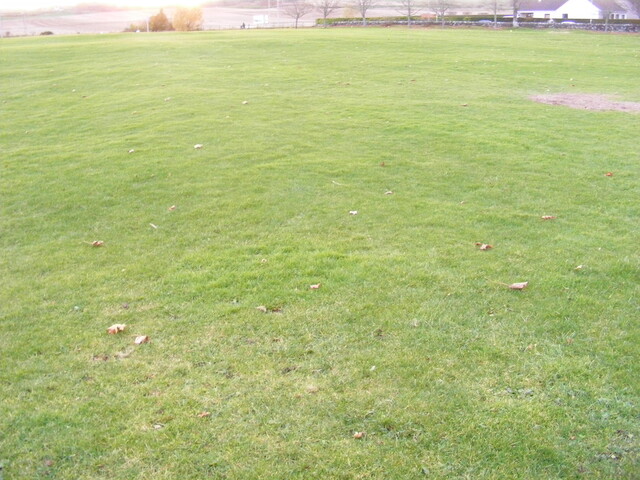 SHG25039_8.jpg
