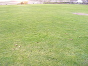 SHG25039_8.jpg