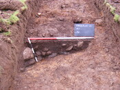 SHG25039_10.jpg