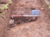 SHG25039_11.jpg