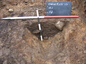 SHG25039_15.jpg