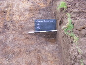 SHG25039_16.jpg