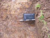 SHG25039_17.jpg