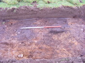 SHG25039_21.jpg