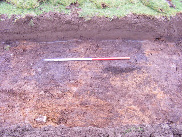SHG25039_22.jpg
