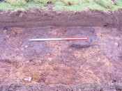 SHG25039_22.jpg