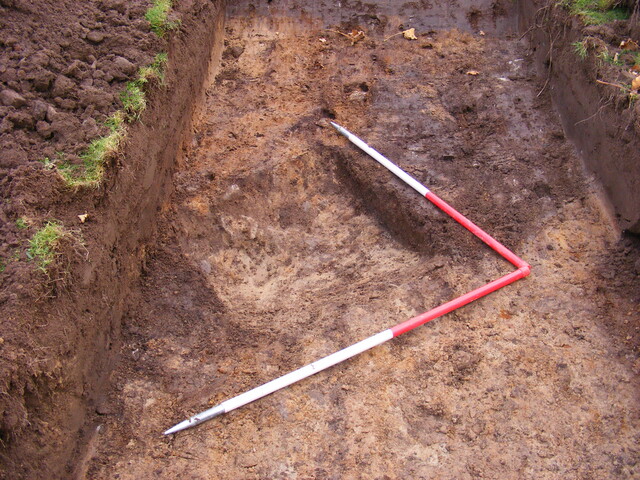 SHG25039_36.jpg