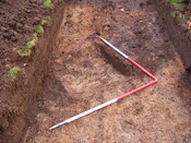 SHG25039_36.jpg