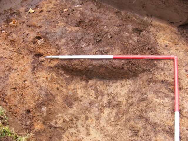 SHG25039_38.jpg