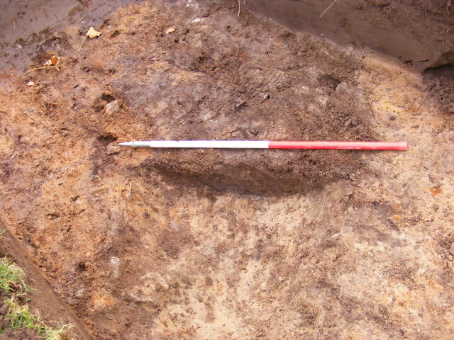 SHG25039_39.jpg