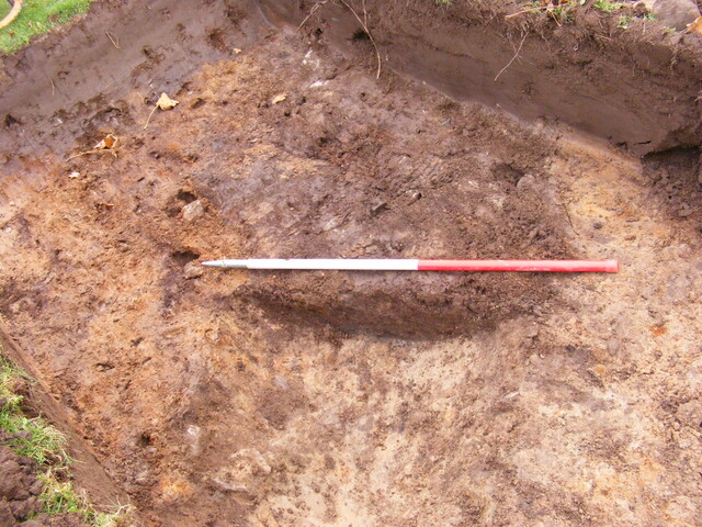 SHG25039_40.jpg