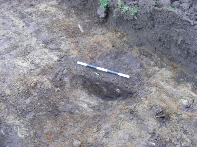SHG25039_41.jpg