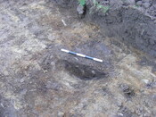 SHG25039_41.jpg