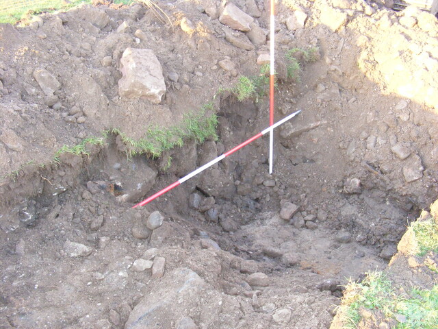 SHG25039_51.jpg