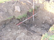 SHG25039_51.jpg