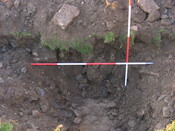 SHG25039_52.jpg