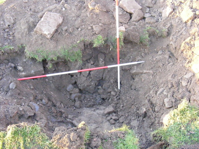 SHG25039_53.jpg