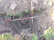 SHG25039_53.jpg
