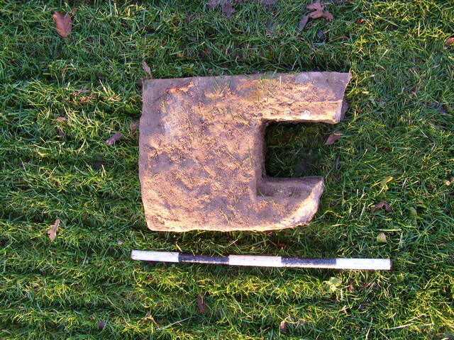 SHG25039_55.jpg