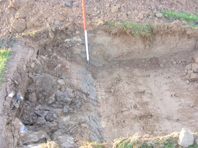 SHG25039_56.jpg