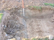 SHG25039_56.jpg
