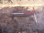SHG25039_71.jpg