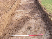SHG25039_72.jpg