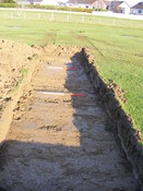SHG25039_79.jpg