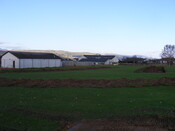 SHG25039_81.jpg