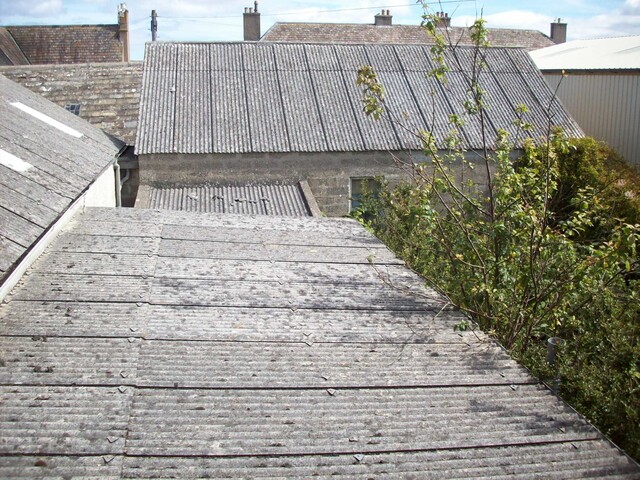 Castletown rear roofs.jpg