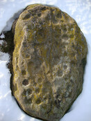 MHG8958_Blackhill C M Rock 1.jpg