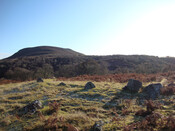 West Enclosre from the North.jpg