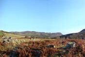 West Enclosure to the East.jpg