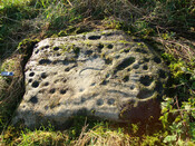 DSC00040.jpg