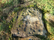 DSC00041.jpg