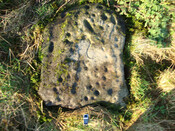 DSC00042.jpg