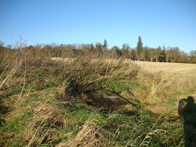 DSC00043.jpg