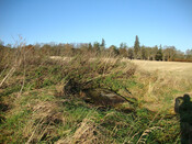 DSC00043.jpg