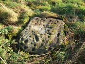 DSC00045.jpg