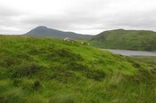 image001.jpg