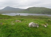 image013.jpg
