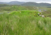 image017.jpg