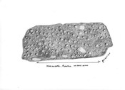 Knocancurin CMS255.jpg