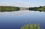 _DSC5921.jpg