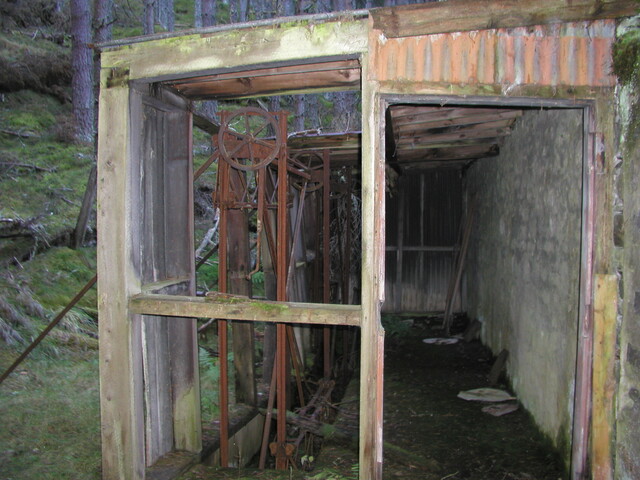 target011.jpg
